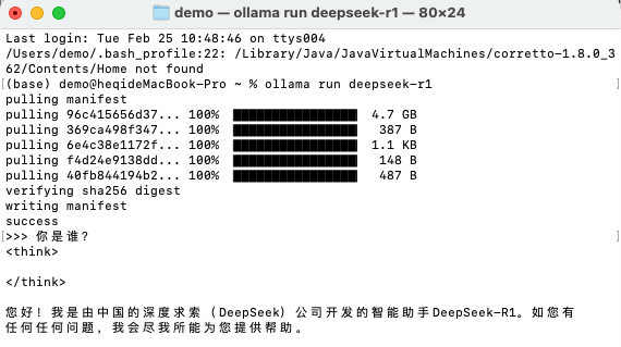 deepseek安装