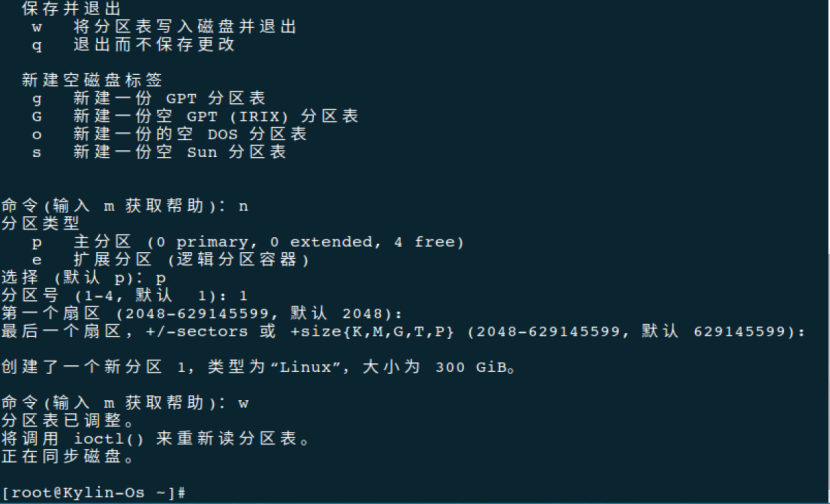 新建的磁盘进行分区